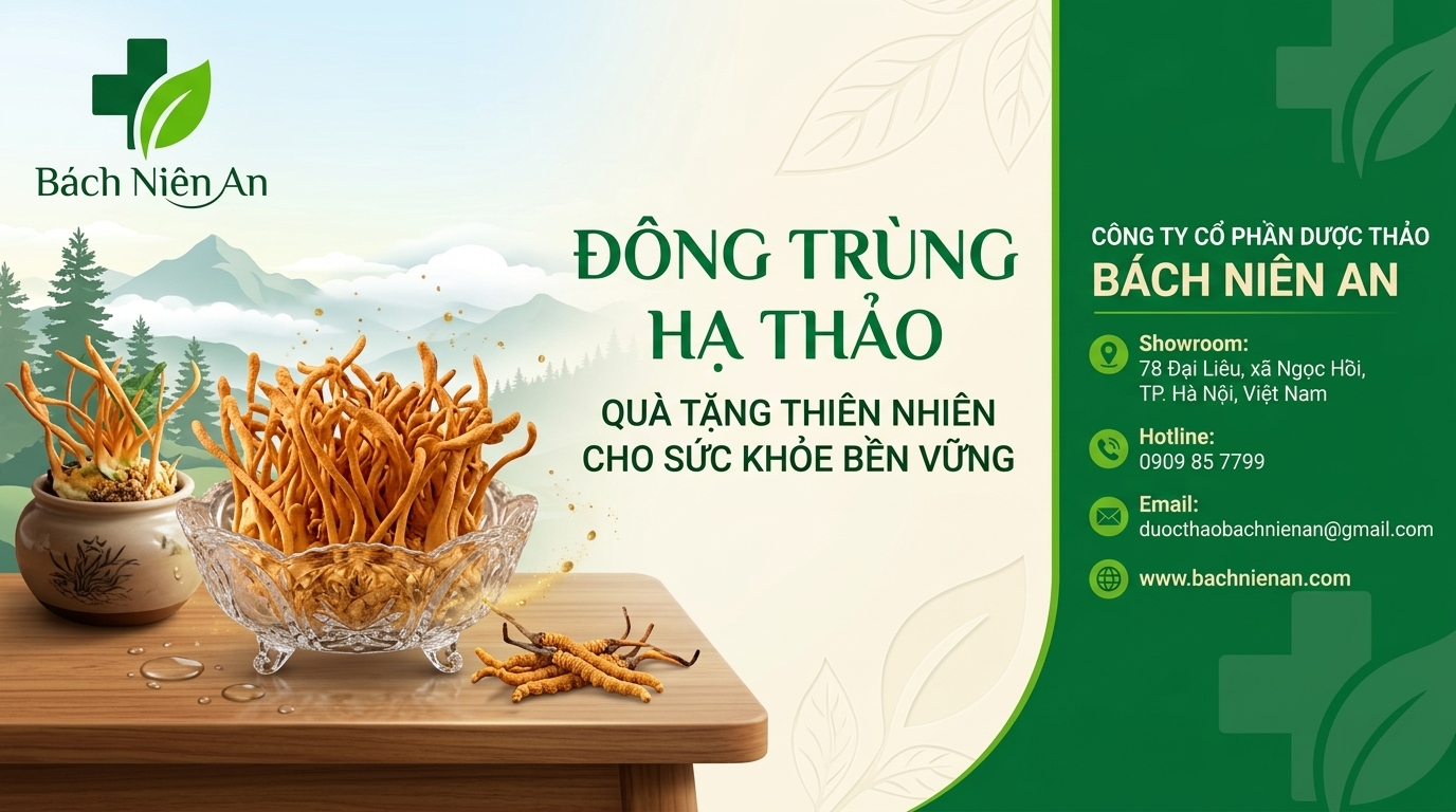 Đông trùng hạ thảo quà tặng thiên nhiên cho sức khỏe bền vững