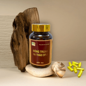 Đông Trùng Hạ Thảo 3BO - hình ảnh 4