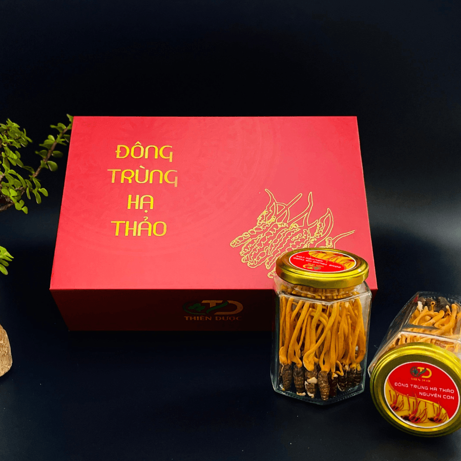 Đông Trùng Hạ Thảo Nguyên Con - hình ảnh 5 Đông Trùng Hạ Thảo Nguyên Con - hình ảnh 5