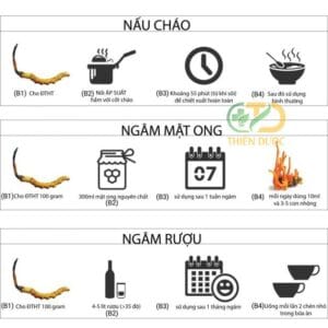 Đông Trùng Hạ Thảo Quả Thể Khô - hình ảnh 7