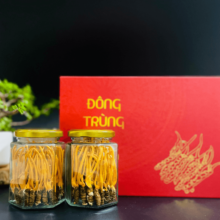 Đông Trùng Hạ Thảo Nguyên Con - hình ảnh 4 Đông Trùng Hạ Thảo Nguyên Con - hình ảnh 4