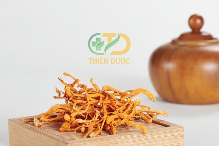 4 CÁCH SỬ DỤNG ĐÔNG TRÙNG HẠ THẢO KHÔ PHỔ BIẾN