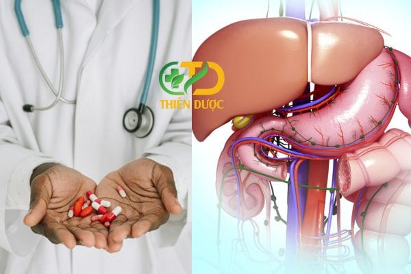 Bệnh lý gan mật là gì và cách điều trị bệnh như thế nào?