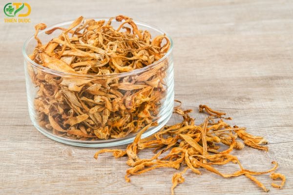 Đông Trùng Hạ Thảo phơi khô: Cách phơi – sấy đúng chuẩn