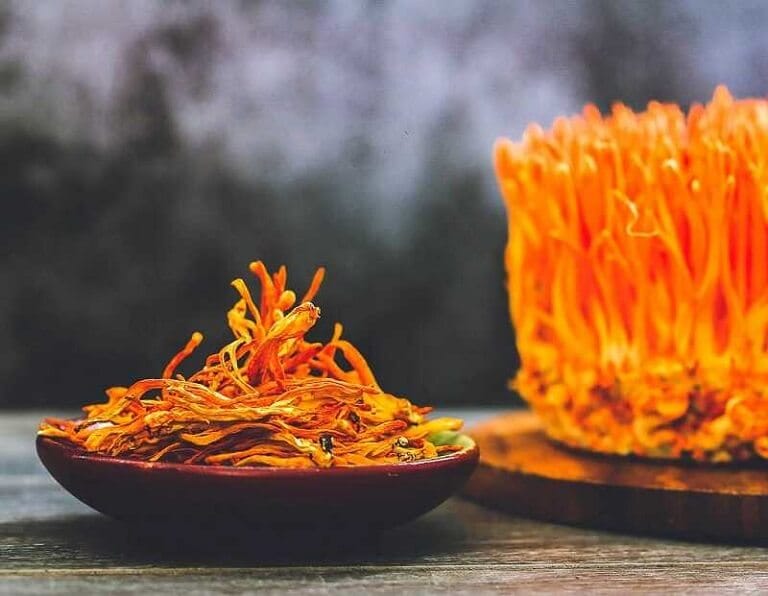 Luu-y-khong-the-bo-qua-khi-su-dung- trung-ha-thao-cac-bai-thuoc