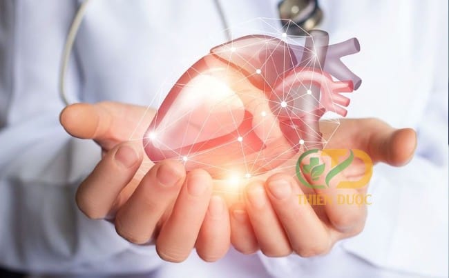 [GIẢI ĐÁP] NẤM ĐÔNG TRÙNG HẠ THẢO CÓ TÁC DỤNG GÌ?