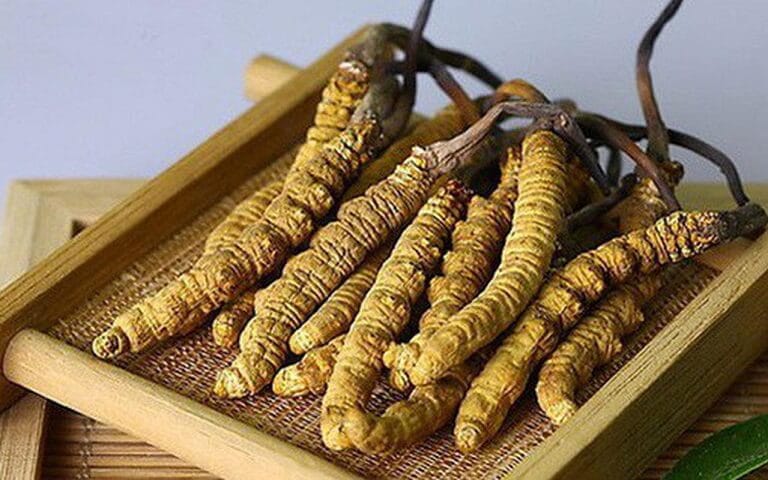 Su-dung-dong-trung-ha-thao-phu-hop-voi-do-tuoi-va-tinh-trang-benh-ly