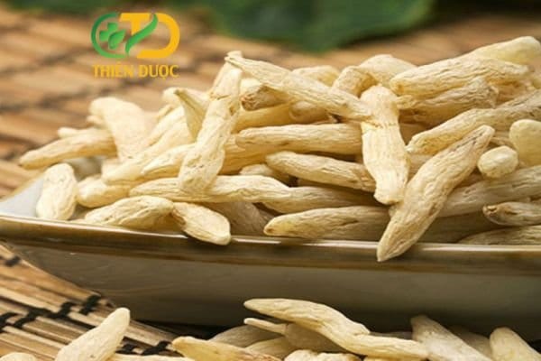 cao-mach-mon