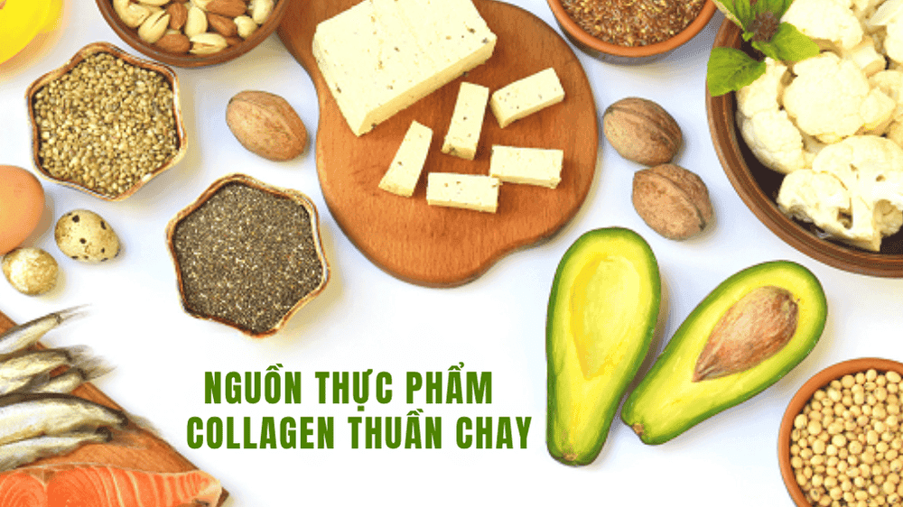 Collagen thực vật – Lựa chọn mới cho phụ nữ hiện đại