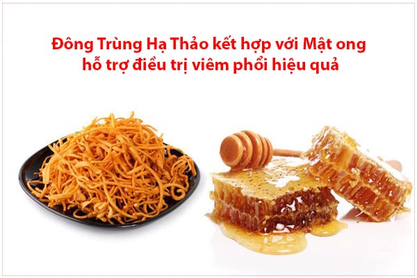 dieu-tri-viem-phoi-voi-dong-trung-ha-thao