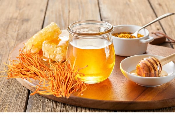 Đông trùng hạ thảo khô hà nội: cách chọn mua uy tín