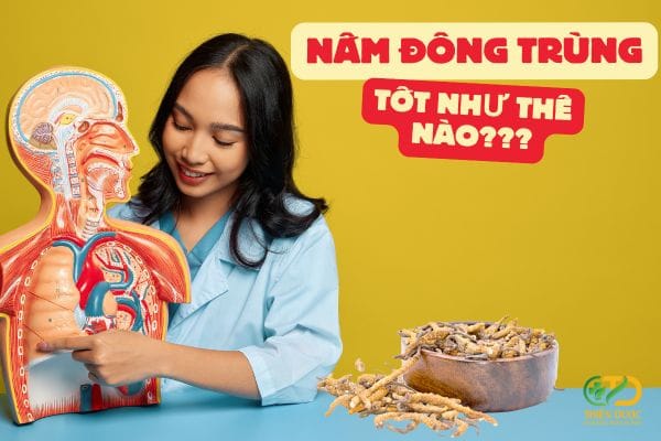 dong-trung-tot-nhu-the-nao