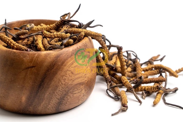 Giá đông trùng hạ thảo hiện nay là bao nhiêu?