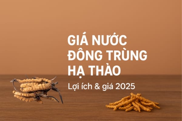 gia-nuoc-dong-trung-ha-thao-nam-2025