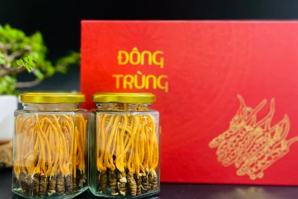Tác dụng của đông trùng hạ thảo nguyên con: lợi ích và cách dùng