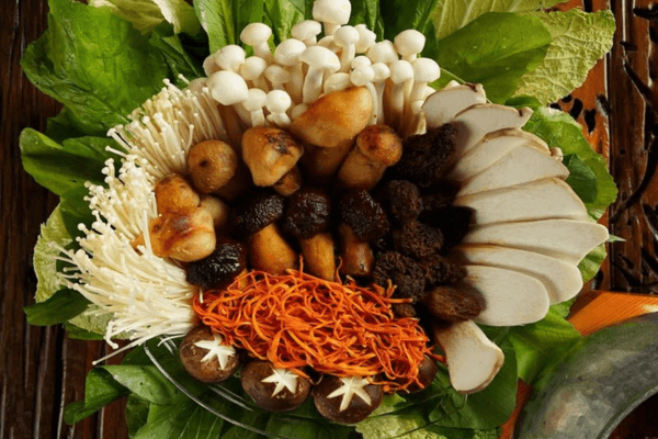 lau-nam-dong-trung-ha-thao