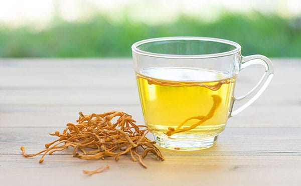 NƯỚC ĐÔNG TRÙNG HẠ THẢO CÓ TÁC DỤNG GÌ ĐẶC BIỆT?
