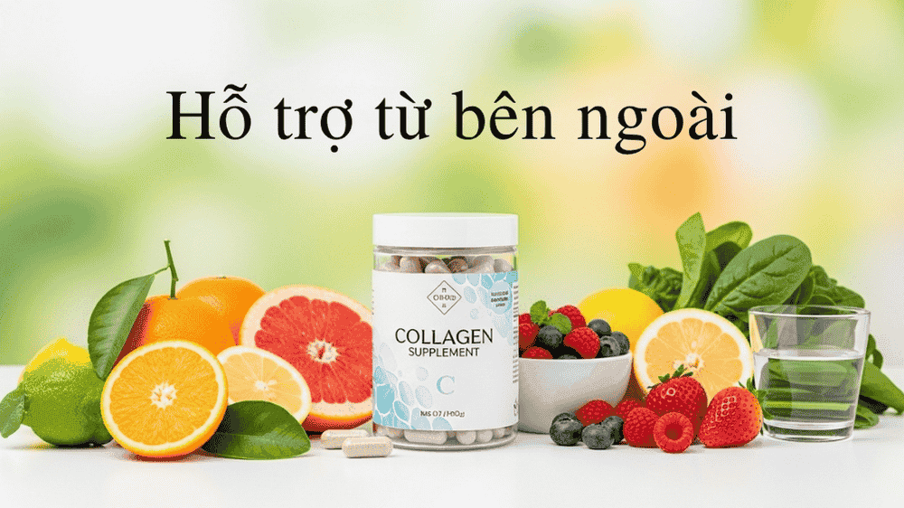 thuc-pham-nguo-ho-tro-collagen