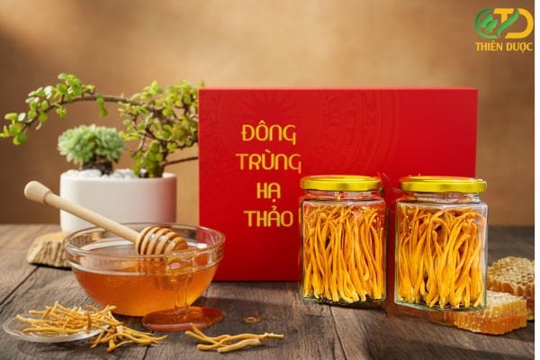Uống đông trùng hạ thảo mỗi ngày có tốt không?