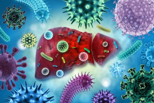 viem-gan-do-virus